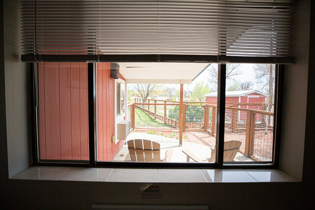 Image 10 for King of the River