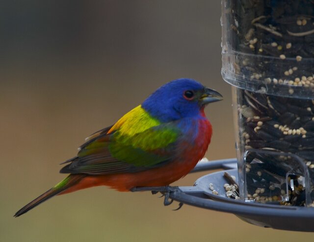 Image 15 for #6 Armadillo Back-In RV Site  Fits RVs up 45ft