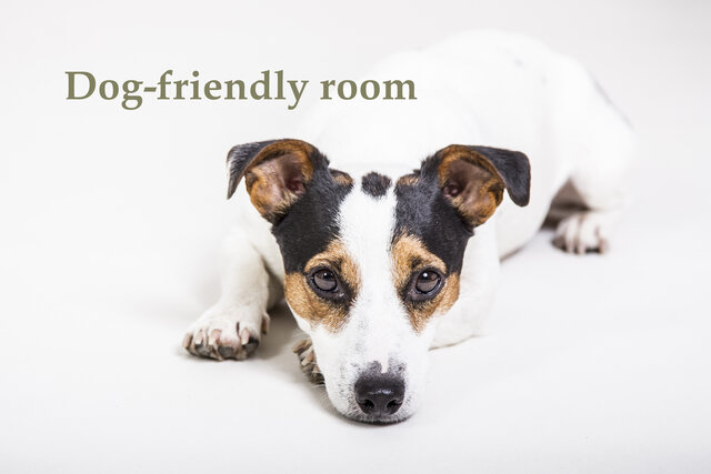 Image 2 for 01) Rising Moon