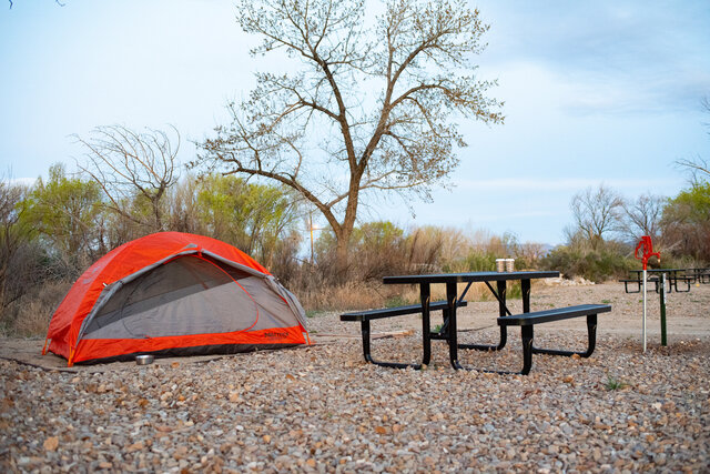 Image 2 for Tent Sites