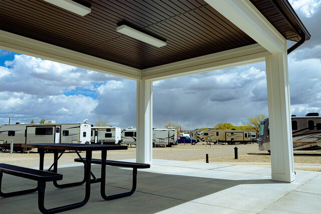 Image 9 for Standard Monthly Back in 55'