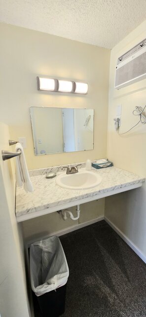 Image 3 for 202 1 Queen