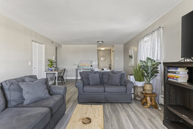 Image 6 for SeaWatch #304