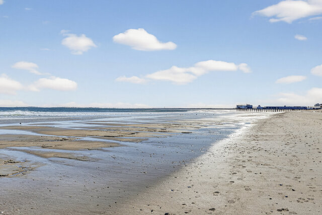 Image 2 for SeaWatch #304