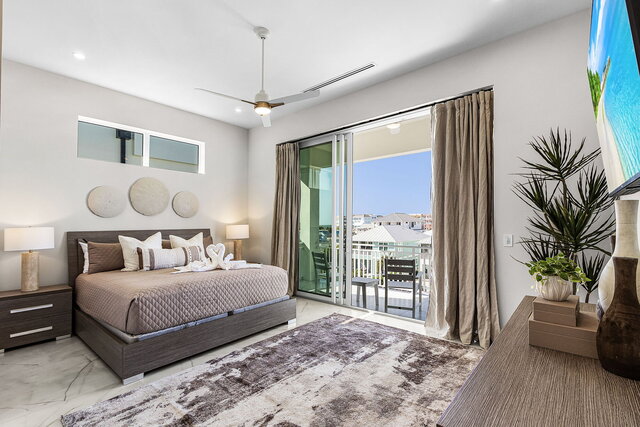 Image 18 for Turquois Turtle 205