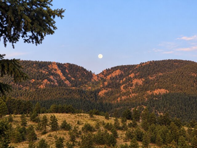 Image 4 for RV Site - 36' x 24'