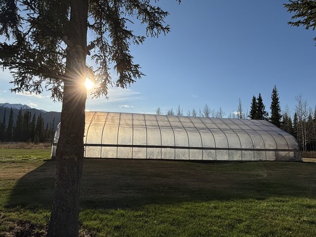 Image 11 for The Duke