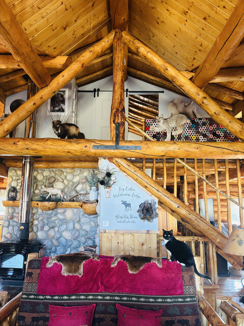 Image 6 for The Lodge