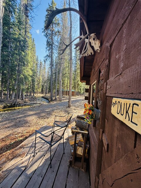 Image 1 for The Duke