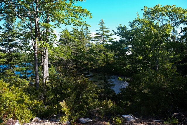 Image 10 for Glamping Tent - Lake View