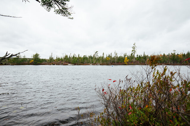 Image 11 for Firefly Cove