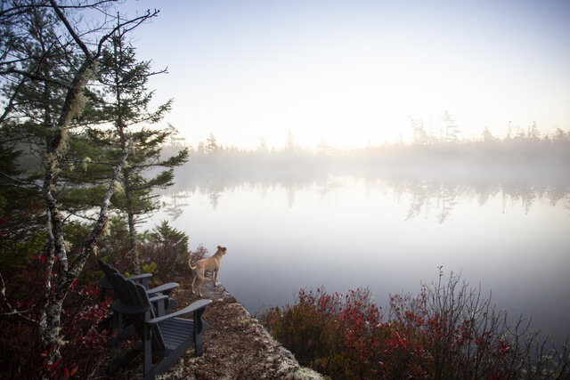 Image 16 for Glamping Tent - Free Spirited