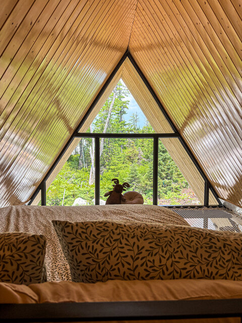 Image 2 for Birch Hollow