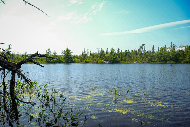 Image 5 for Firefly Cove