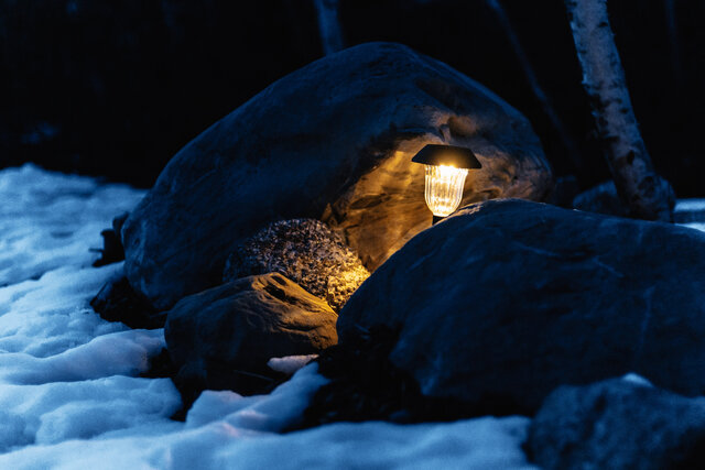 Image 20 for Eco Cabin - Eager Beaver