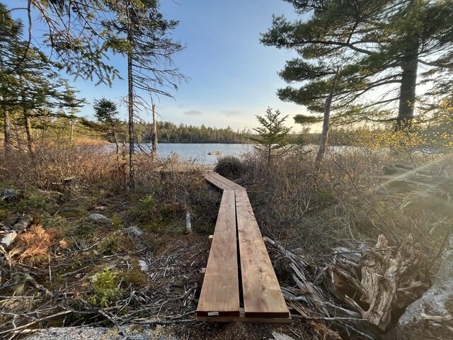 Image 4 for Eco Cabin - Ray of Sunshine