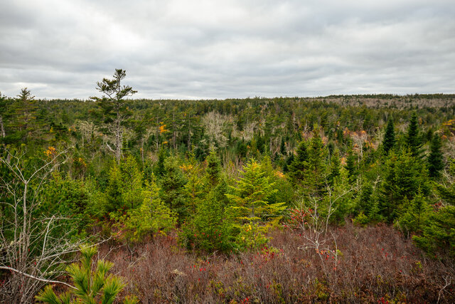 Image 23 for Valley Dome