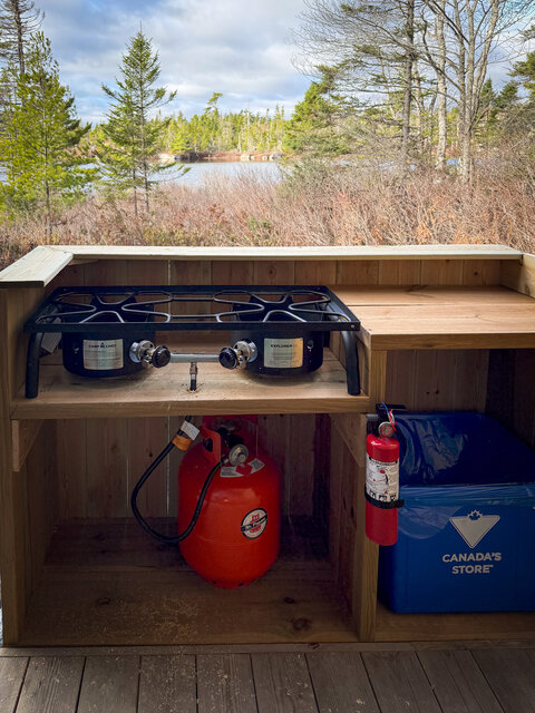 Image 7 for Star Gazer