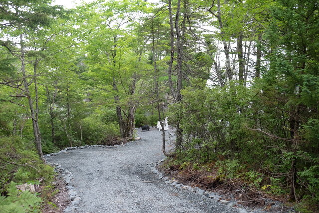 Image 2 for Chalet - Mossy Grove