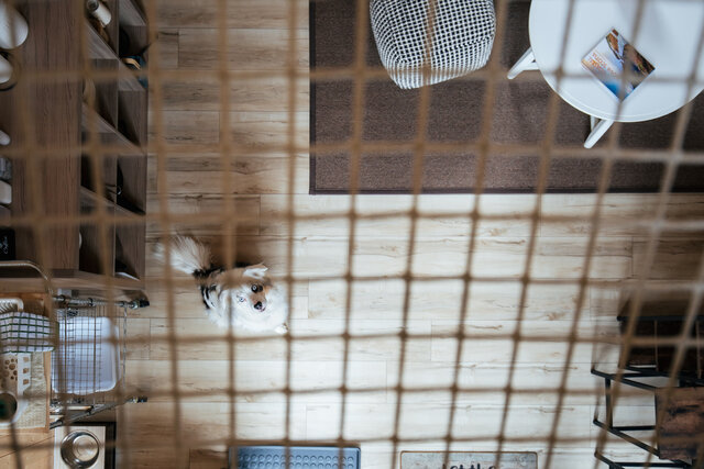 Image 10 for Firefly Cove