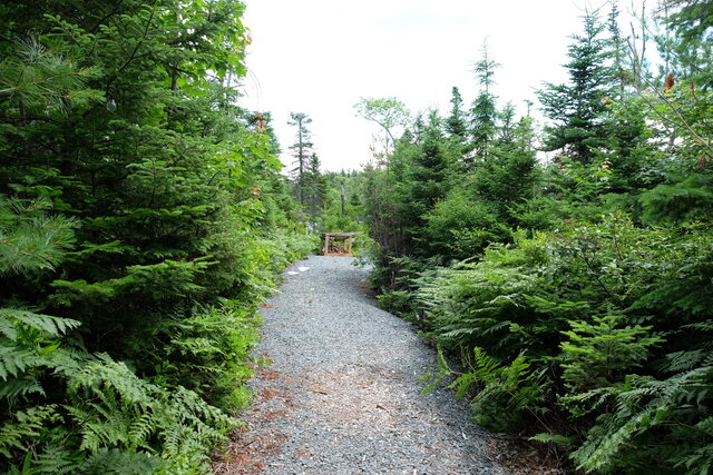 Image 12 for Glamping Tent - Free Spirited