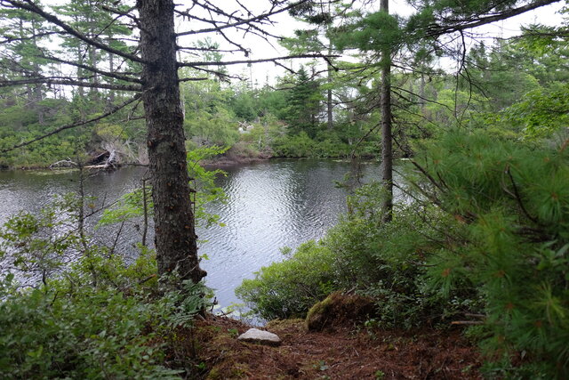 Image 9 for Chalet - Mossy Grove