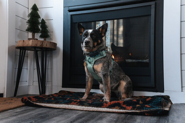 Image 15 for Eco Cabin - Eager Beaver