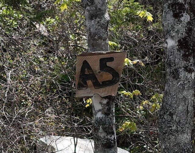 Image 2 for Camping Site A5