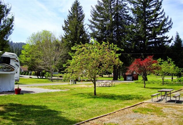 Image 2 for 30 amp back-in