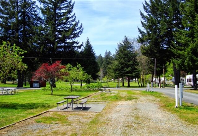 Image 1 for 30 amp back-in