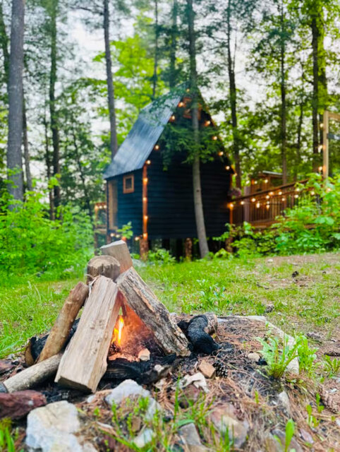 Image 3 for Waterfront Treehouse