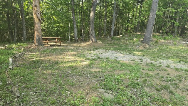 Image 1 for 50) Secluded Shaded Tent Site with Water Access