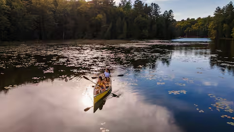 Image 17 for Ravine Dome overlooking the Mississippi River