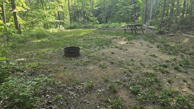 Image 1 for 55) Secluded Shaded Tent Site with Water Access