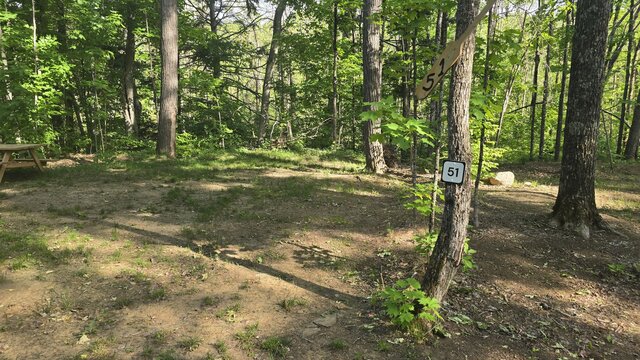 Image 1 for 51) Secluded Shaded Tent Site with Water Access