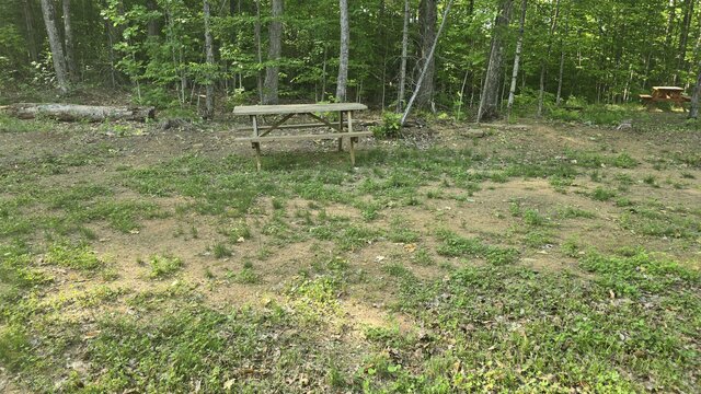 Image 3 for 55) Secluded Shaded Tent Site with Water Access