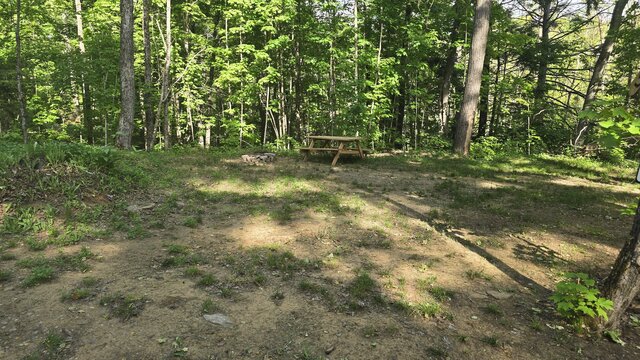 Image 2 for 51) Secluded Shaded Tent Site with Water Access