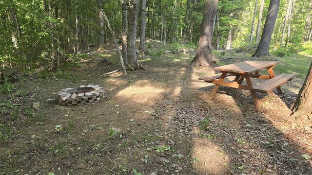 Image 2 for 50) Secluded Shaded Tent Site with Water Access
