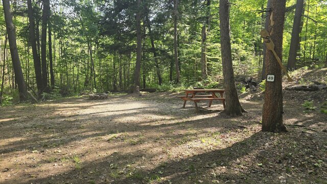 Image 1 for 49) Secluded Shaded Tent Site with Water Access