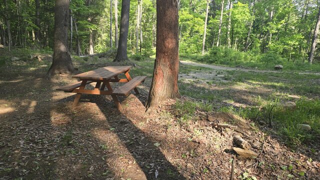 Image 3 for 50) Secluded Shaded Tent Site with Water Access